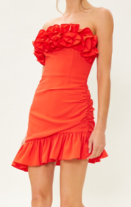 Poppy Red Dress